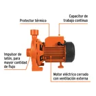 Bomba centrífuga para agua modelo europeo, 1/4 HP, EXPERT 2