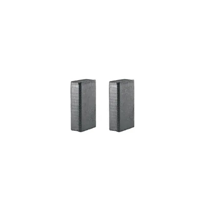 Bolsa con 2 carbones de repuesto para ROTO-1/2N9, TRUPER