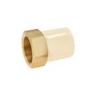 Adaptador hembra de CPVC 2' con inserto y tuerca de latón 1