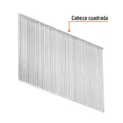 Caja con 2500 clavos calibre 16, 50 mm para CLNE-16, TRUPER 2