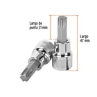 Dado punta torx T-50, cuadro 3/8', TRUPER 3