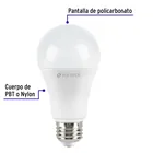 Pack 4 focos LED 14W (100W) A19, 6500K blanca fría, 1500 lm 2