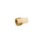 Adaptador hembra de CPVC 1/2' con inserto y tuerca de latón 1