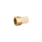 Adaptador hembra de CPVC 1' con inserto y tuerca de latón 1