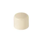 Tapón de CPVC 3/4', FOSET 1