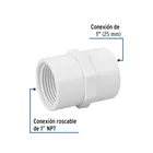 Adaptador hembra de PVC 1', FOSET 2