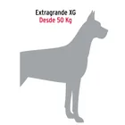 Cadena de paseo para perro de 1.2 m x 5 mm, FIERO 4
