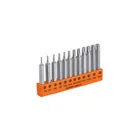 Juego de 12 puntas torx combinadas c/seguro largo 2', EXPERT 1