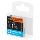 Estuche con 5 puntas hexagonales de 3/16mm largo 1', EXPERT 5