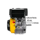 Motor a gasolina 6.5HP, PRETUL 4
