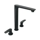 Mezcladora cuello alto para fregadero, negro, FOSET RIVIERA 1