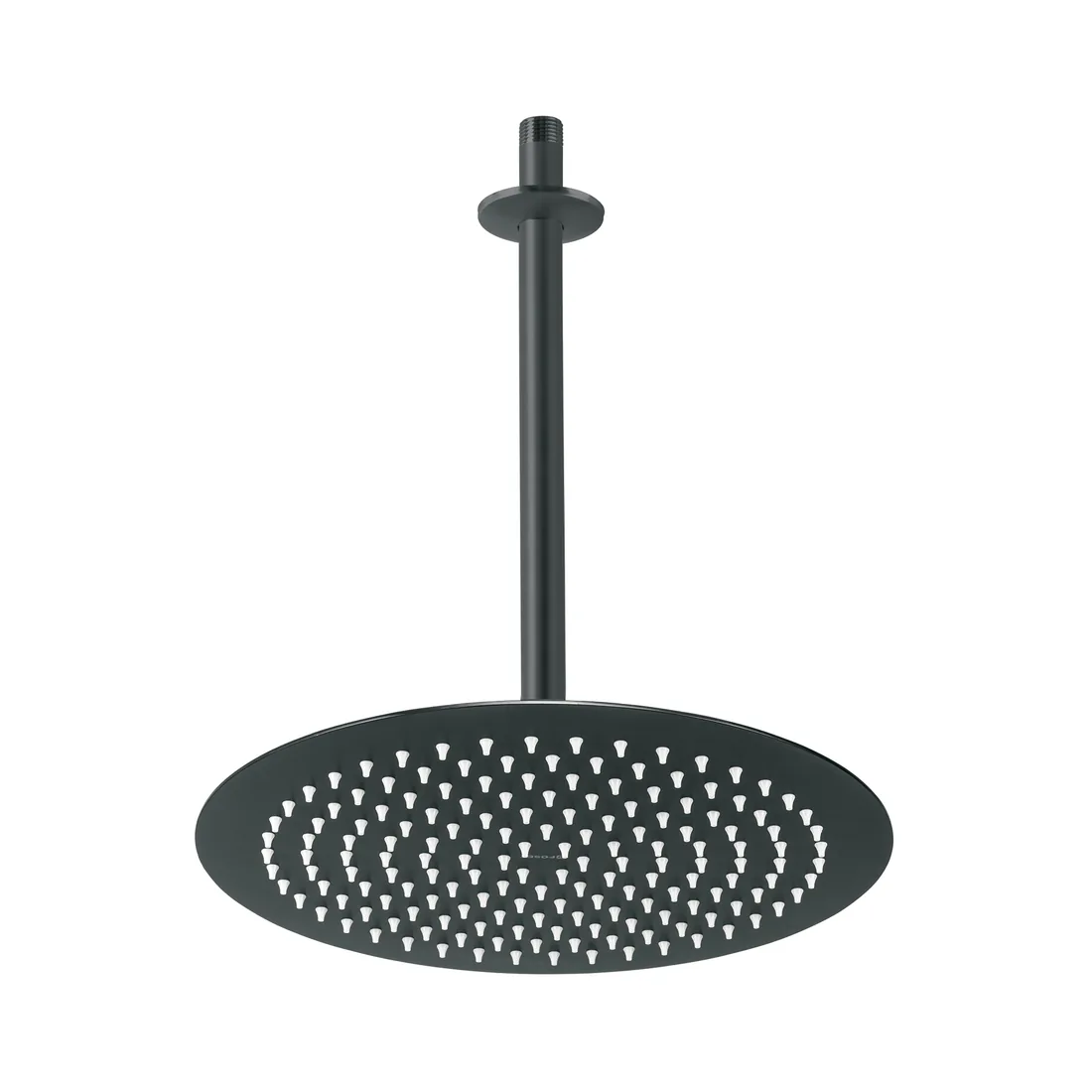 Regadera plato redondo 12' con brazo, negro, FOSET RIVIERA