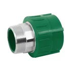 Adaptador PPR 2' macho con inserto metálico, FOSET 1